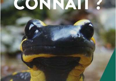 Rendez-vous Nature : Découverte des aromatiques à la Ferme du Bourguet