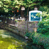 terrasse coté sorgue.png