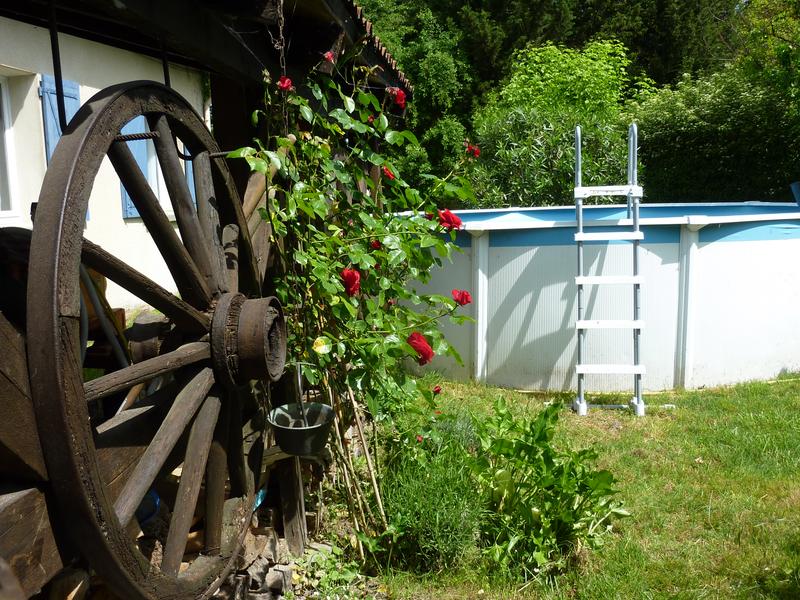 Cette photo met en avant les espaces extérieurs du gîte. Au premier plan, une ancienne roue en bois apporte une touche authentique et champêtre au décor. À proximité, des rosiers en fleurs agrémentent le jardin tandis qu'une piscine hors sol permet de profiter des journées ensoleillées de Provence. L'ensemble reflète l'atmosphère paisible et familiale du lieu.