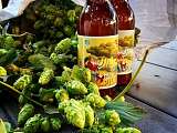 biere_houblon 2.jpg