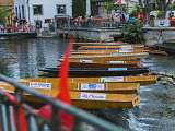 Courses de Négo Chin_L'Isle-sur-la-Sorgue