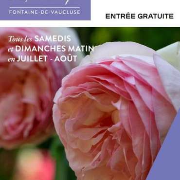 Les matinales de l'été au musée ! (Musée Pétrarque)