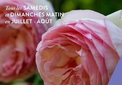 Les matinales de l'été au musée ! (Musée Pétrarque)