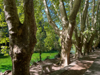 fontainedevaucluse-ISSTOURISME137.JPG_compressed.jpg