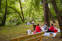 festivaldelasorgue-2026-ISSTOURISME-359.jpg_compressed.jpg