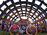 Les Cycles d’Antan_L'Isle-sur-la-Sorgue