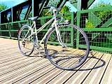Les Cycles d’Antan_L'Isle-sur-la-Sorgue