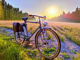 Les Cycles d’Antan_L'Isle-sur-la-Sorgue