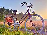 Les Cycles d’Antan_L'Isle-sur-la-Sorgue