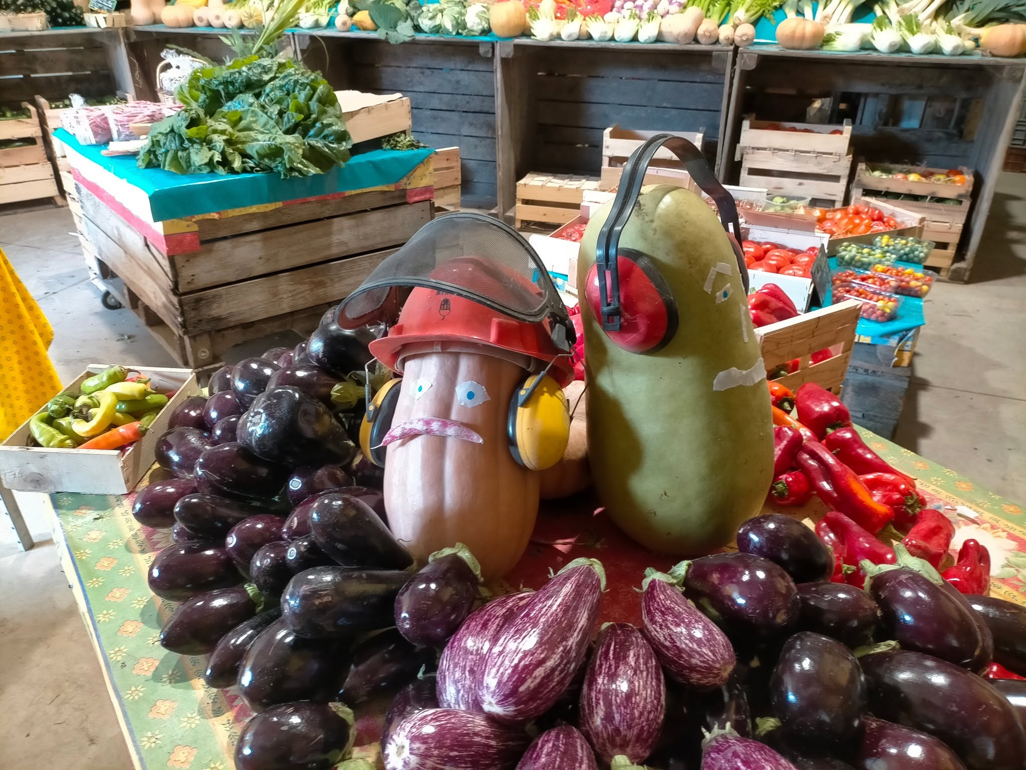 À l'intérieur du magasin de la ferme, un large choix de légumes frais et de saison est présenté dans une ambiance chaleureuse et authentique. Une mise en scène originale réalisée avec des courges apporte une touche conviviale, tandis que les étals mettent à l'honneur les productions de La Petite Guillaine, récoltées au fil des saisons.