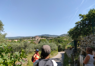 Balade commentée : à la rencontre des paysages vauclusiens