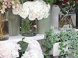 Atelier Provence VB - fleuriste