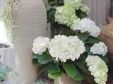 atelier Provence VB- fleuriste