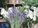 Atelier Provence VB- Fleuriste - L'Isle sur la sorgue