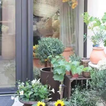 Atelier Provence - Fleuriste