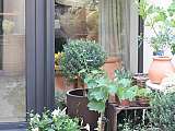 Atelier Provence VB - Fleuriste L'Isle sur la Sorgue