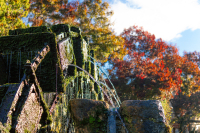 iss-automne-ISSTOURISME-08.jpg_compressed.JPEG
