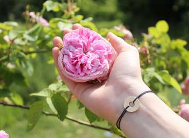 Jardins Rose des Arts