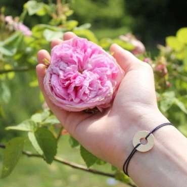 Jardins Rose des Arts