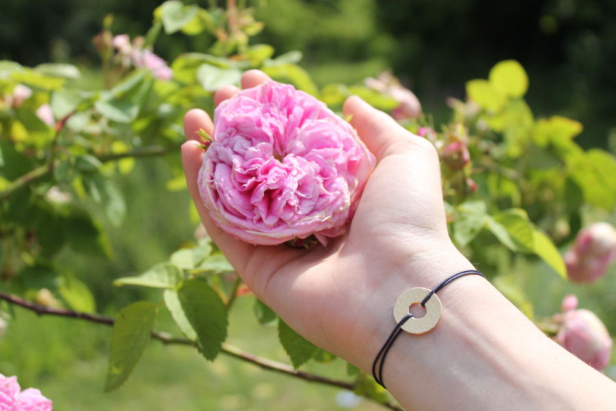Main tenant une rose.