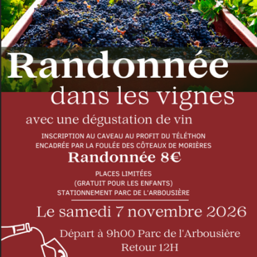 Randonnée dans les vignes