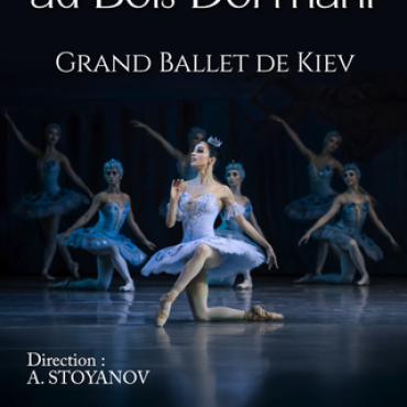 La belle au bois dormant