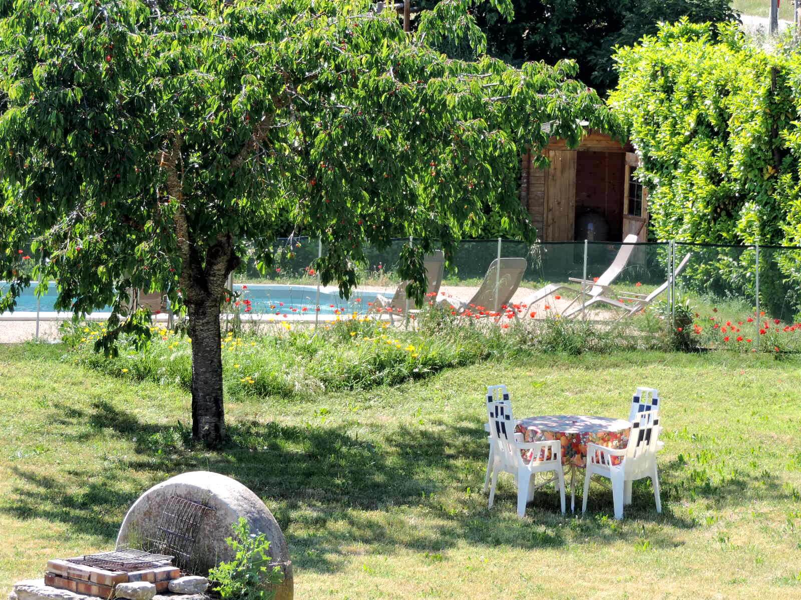 espace jardin verdoyant avec vue piscine