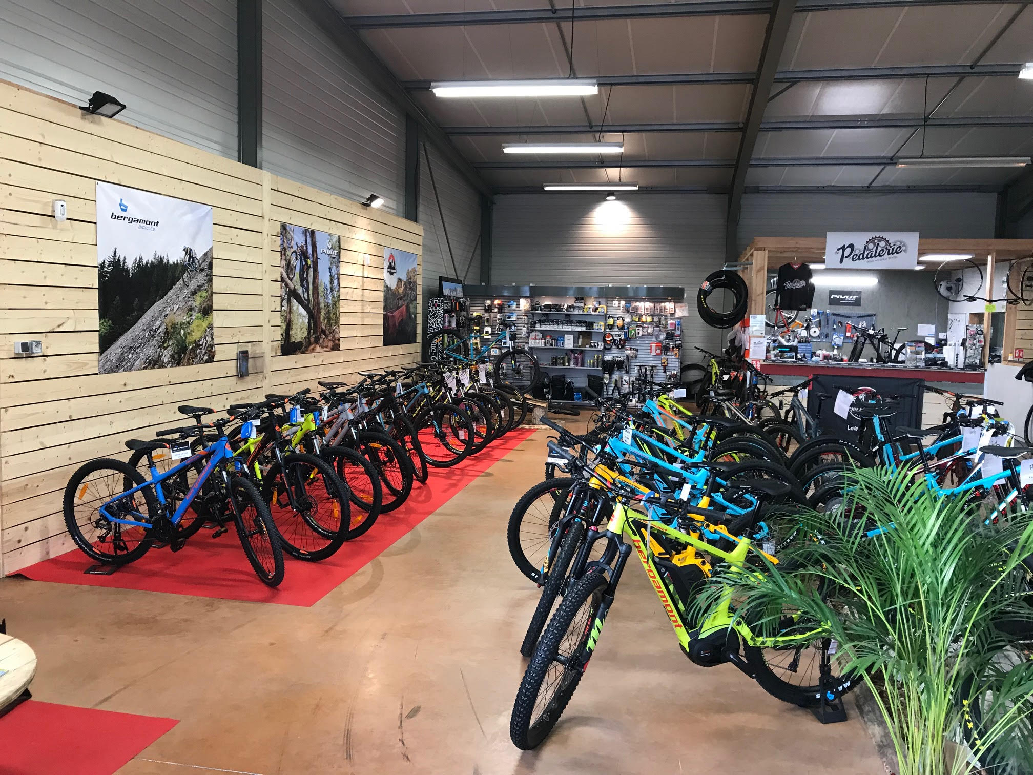 vue d'ensemble de la boutique, avec de nombreux vélos exposés