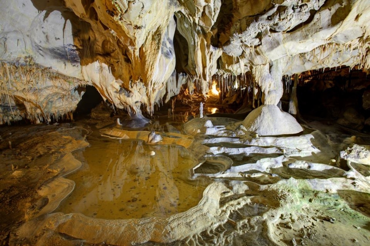 Une vue intérieure d'une grotte naturelle avec des stalactites et des stalagmites. Le sol de la grotte est irrégulier, avec des flaques d'eau reflétant les formations rocheuses au-dessus. Les couleurs varient du beige clair au brun foncé, et des lumières artificielles éclairent la scène.