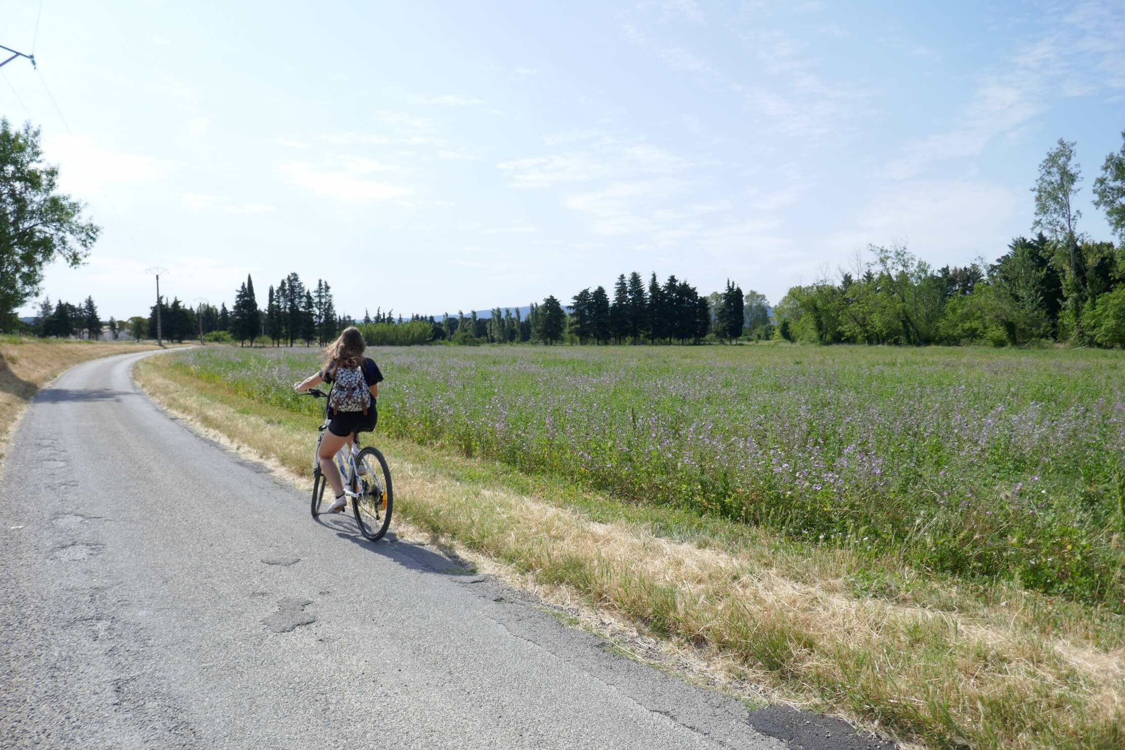 une cycliste roule sur une petite route de campagne longeant un champ de fleurs sauvages