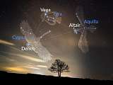 Astrolub Provence