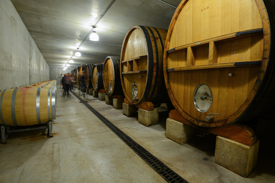Une perspective en contre-plongée le long d'un couloir en béton éclairé par des lampes suspendues, où de grands fûts de vin en bois sont alignés sur des supports en pierre le long du mur droit. Sur la gauche, un fût plus petit est posé sur un support métallique. Des personnes floues se déplacent au loin.