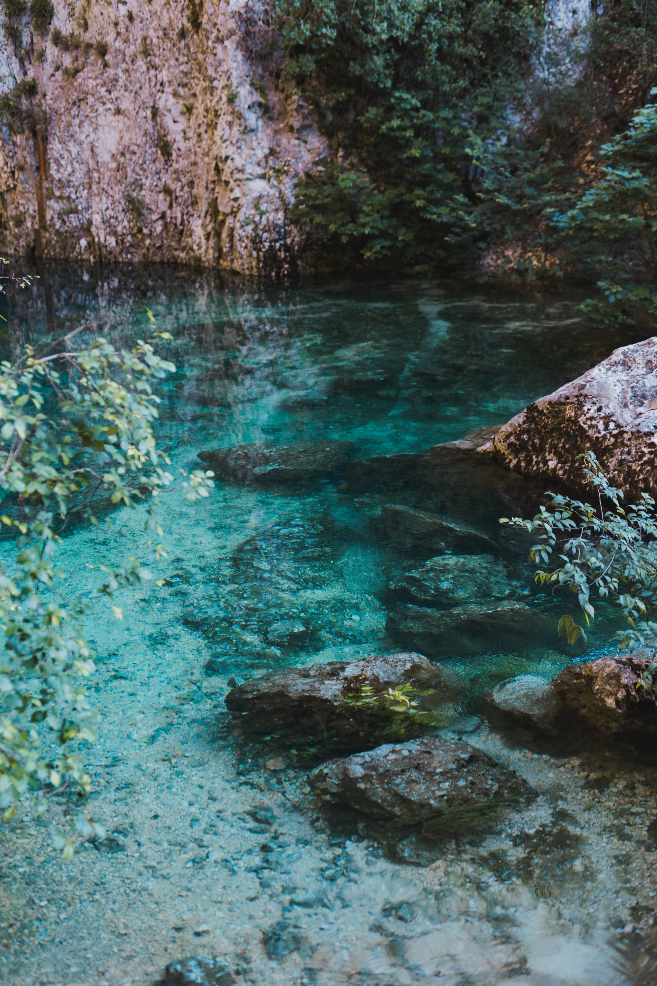Des eaux turquoise claires révélant des rochers sous la surface, entourées de feuillage et de falaises rocheuses, au gouffre de Fontaine-de-Vaucluse.