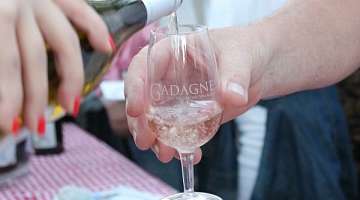 Cépages et appellations