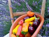 le potager de saint antoine