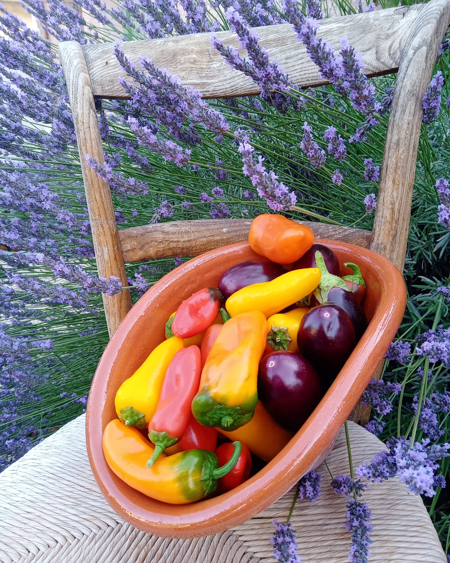 assortiment de fruits et légumes déposés dans une vasque en terre cuite