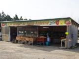 le potager de saint antoine