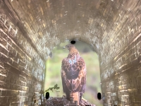 Rocher Mistral - Souffle de la Provence 02.jpg