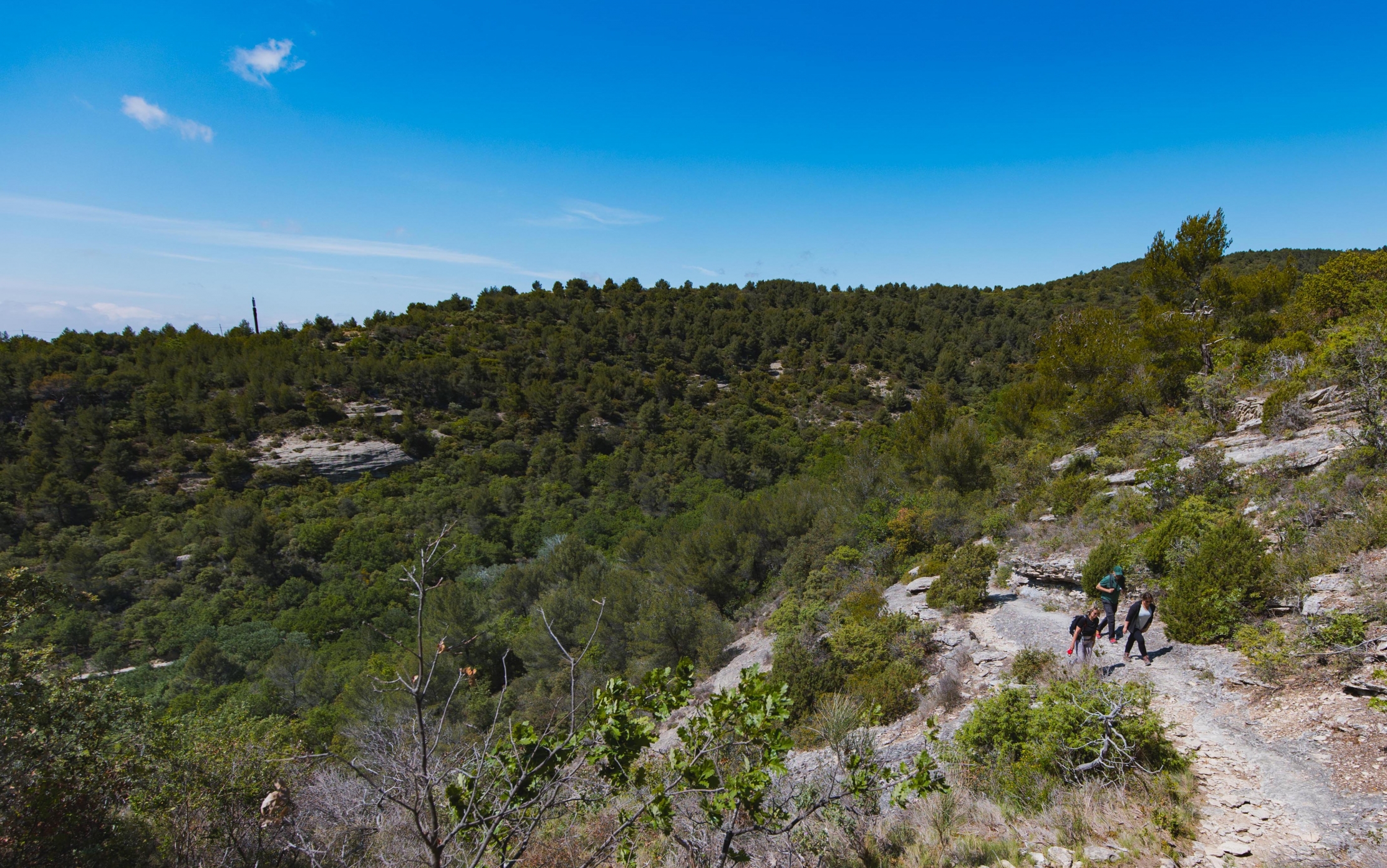 Une vue panoramique d'un paysage de montagne couvert d'une dense végétation verte sous un ciel bleu clair, avec un sentier rocheux où se trouvent trois personnes.