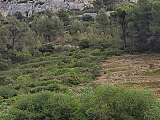 Vue de la maison