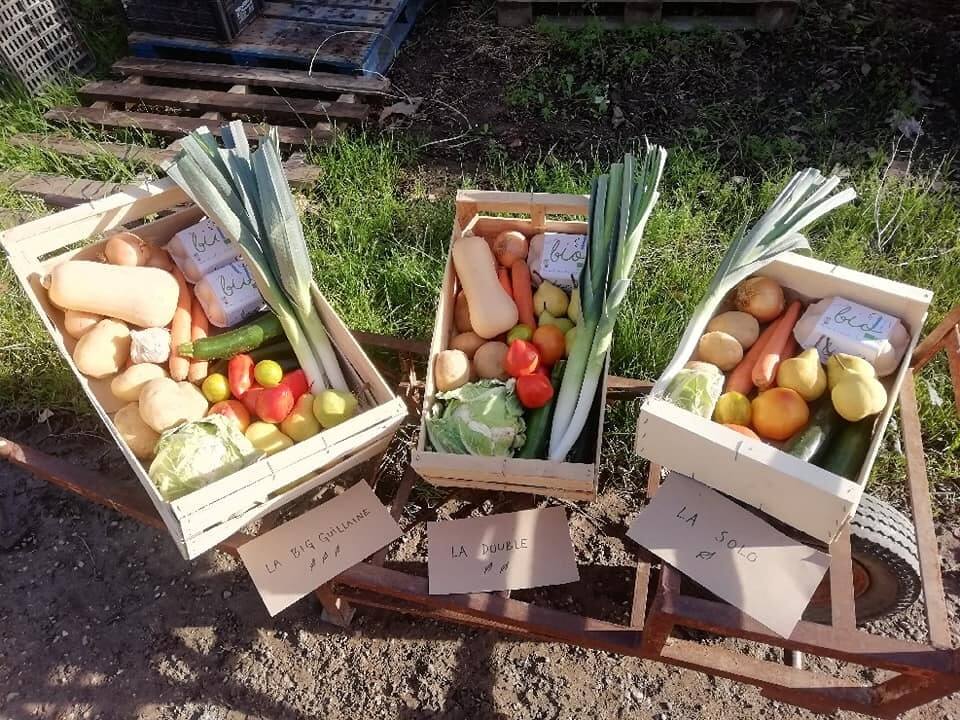 Des paniers de fruits et légumes de saison soigneusement composés sont proposés en vente directe à la ferme. Courges, poireaux, pommes de terre, choux, tomates, courgettes et autres récoltes du moment illustrent la diversité des productions biologiques de La Petite Guillaine et l'engagement de l'exploitation en faveur des circuits courts.