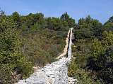 Mur de la peste