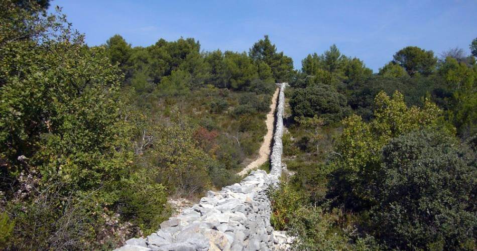 photographie du mur de la peste, remontant la colline et traversant la garrigue