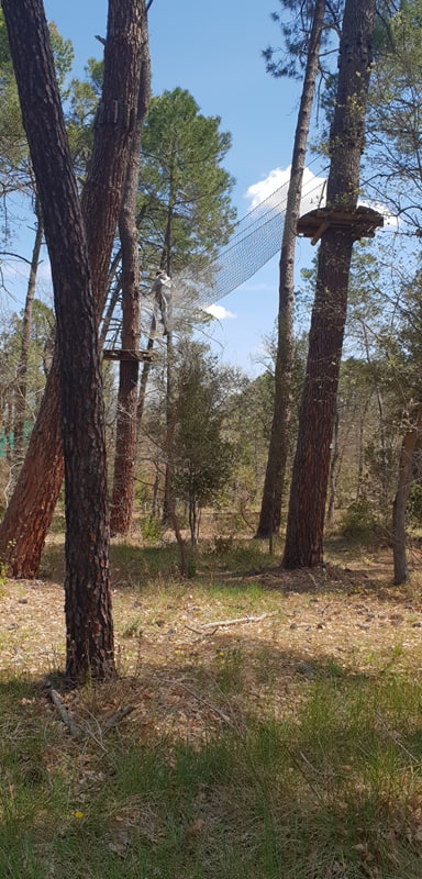 Un sentier de parc d'accrobranche avec un filet tendu entre de grands arbres, créant un pont aérien.