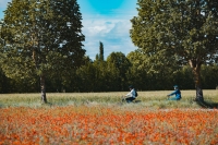 accueil vélo