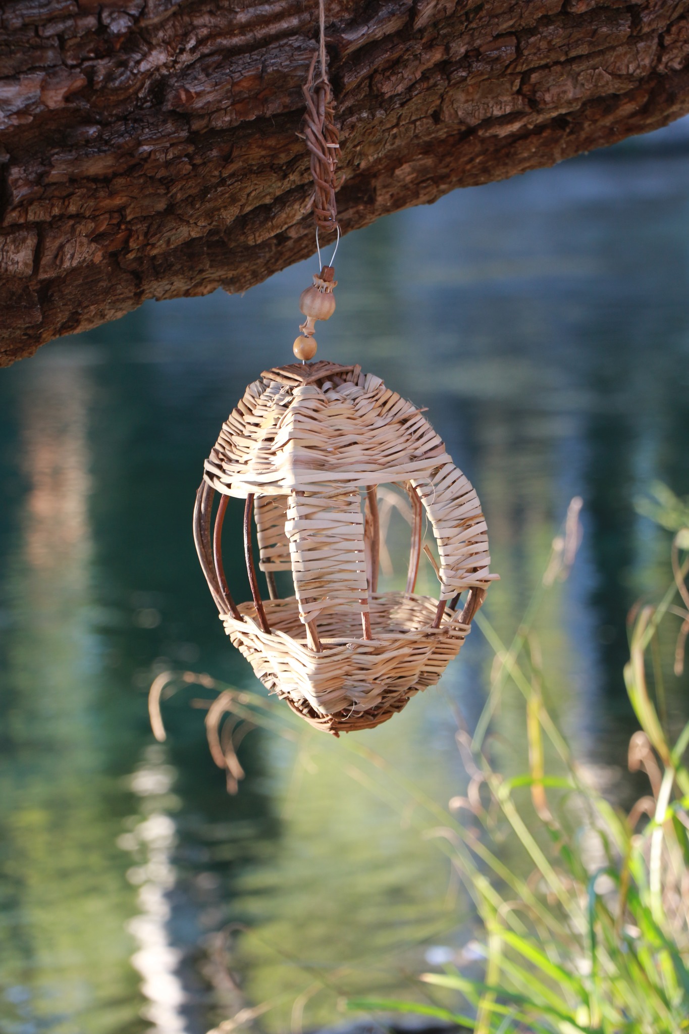 Une mangeoire ou décoration en osier suspendue à la branche d'un arbre, avec un plan d'eau en arrière-plan.