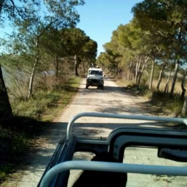 Camargue Sauvage Safari 4x4