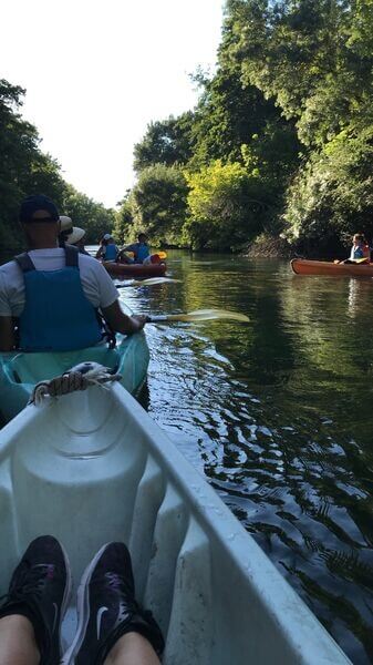 Vue depuis un canoë lors d’une balade sur la Sorgue. Plusieurs embarcations avancent sur les eaux calmes de la rivière, entourées d’une végétation dense et verdoyante.