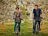 Road trip en Provence 1