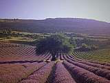 Road trip en Provence 2